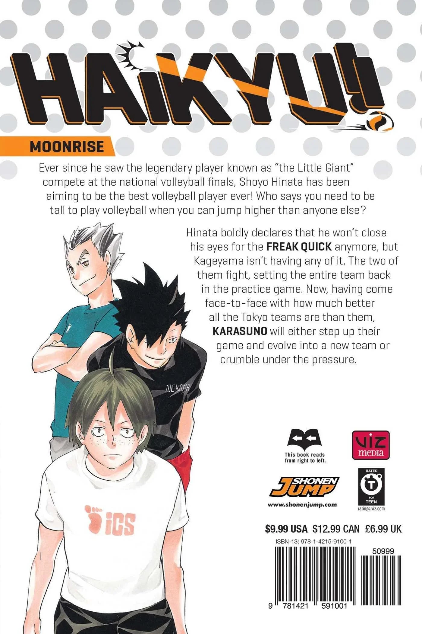 Haikyu!! Vol. 10 - Ultra Rare POP