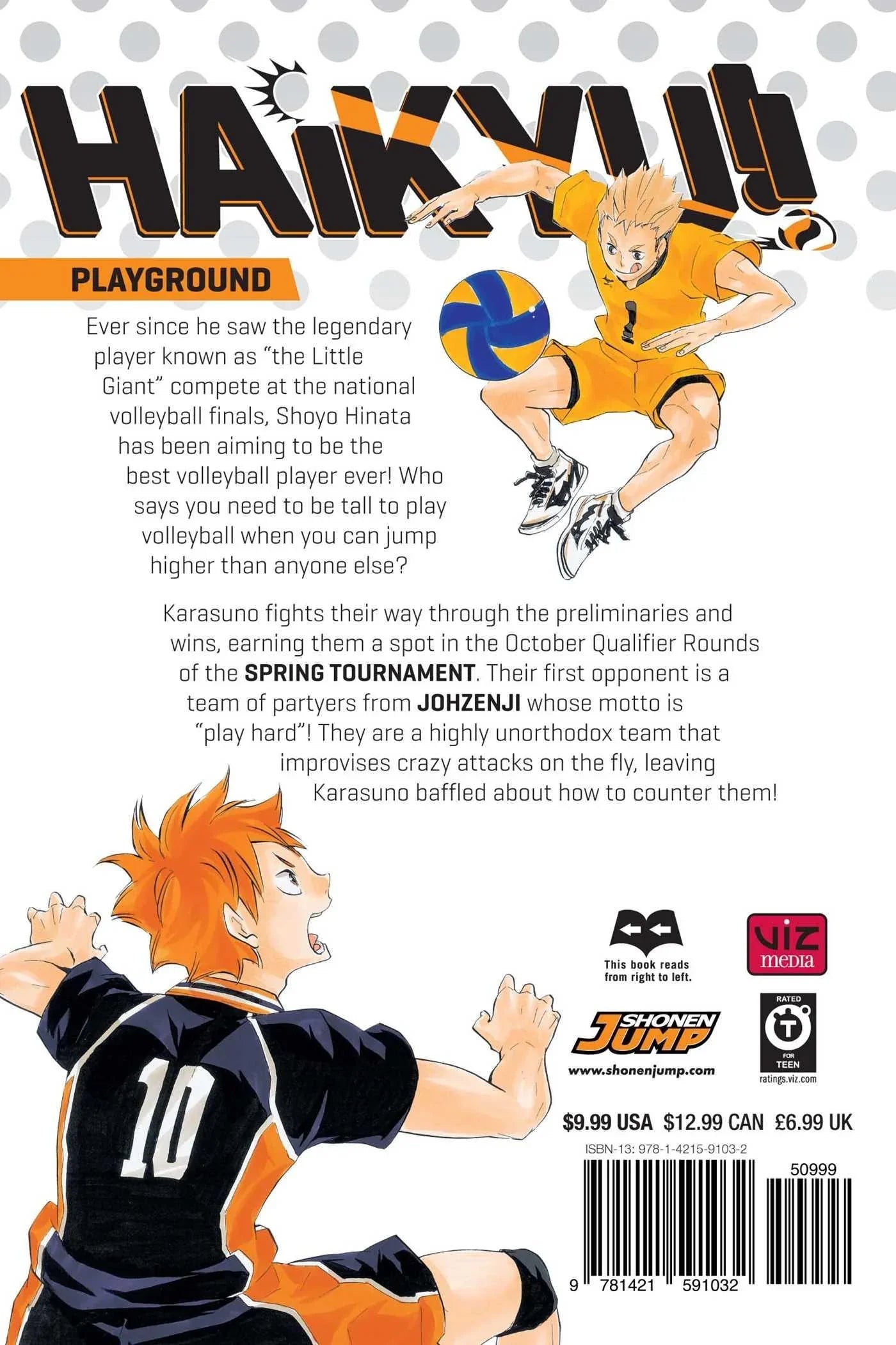 Haikyu!! Vol. 13 - Ultra Rare POP