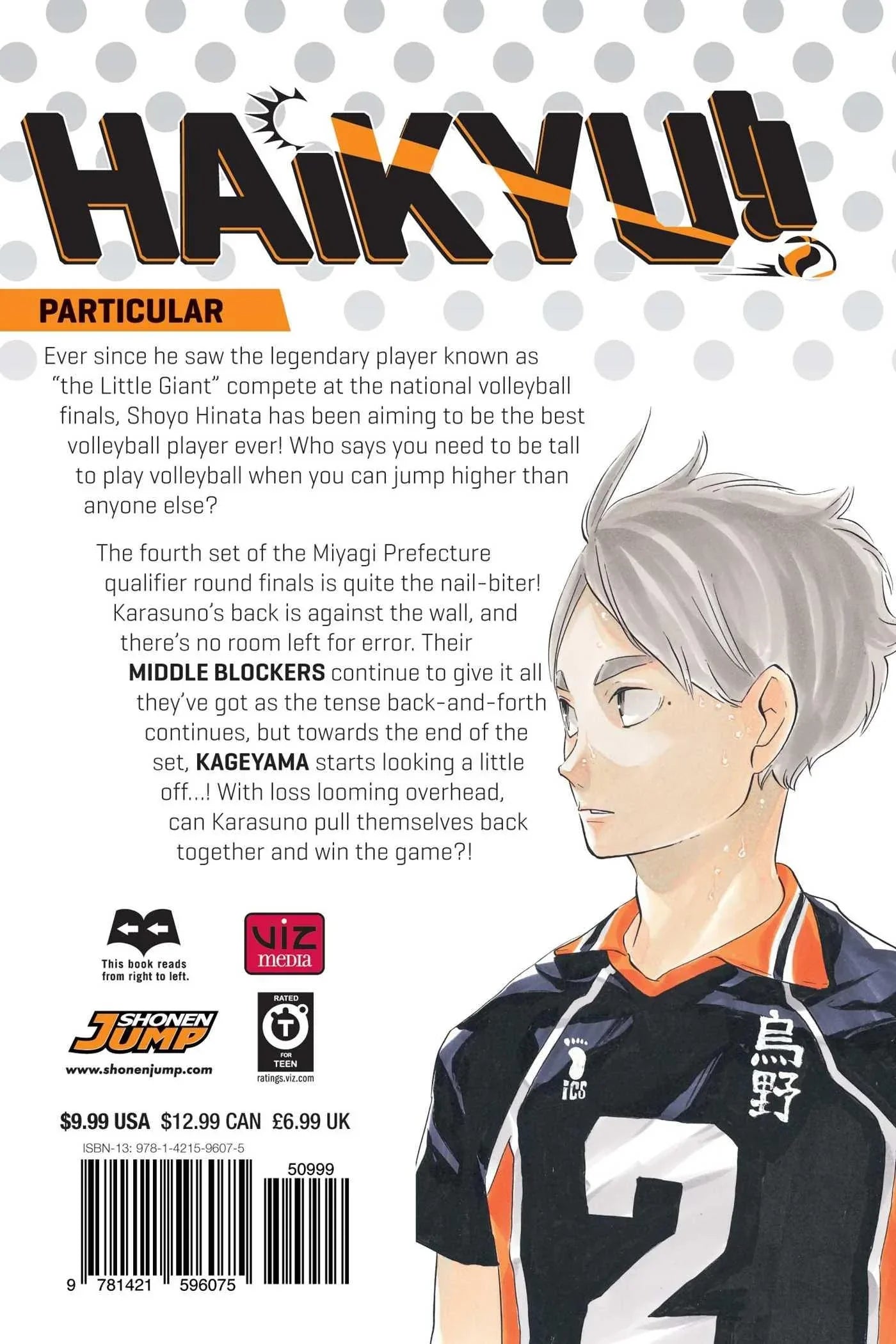 Haikyu!! Vol. 20 - Ultra Rare POP