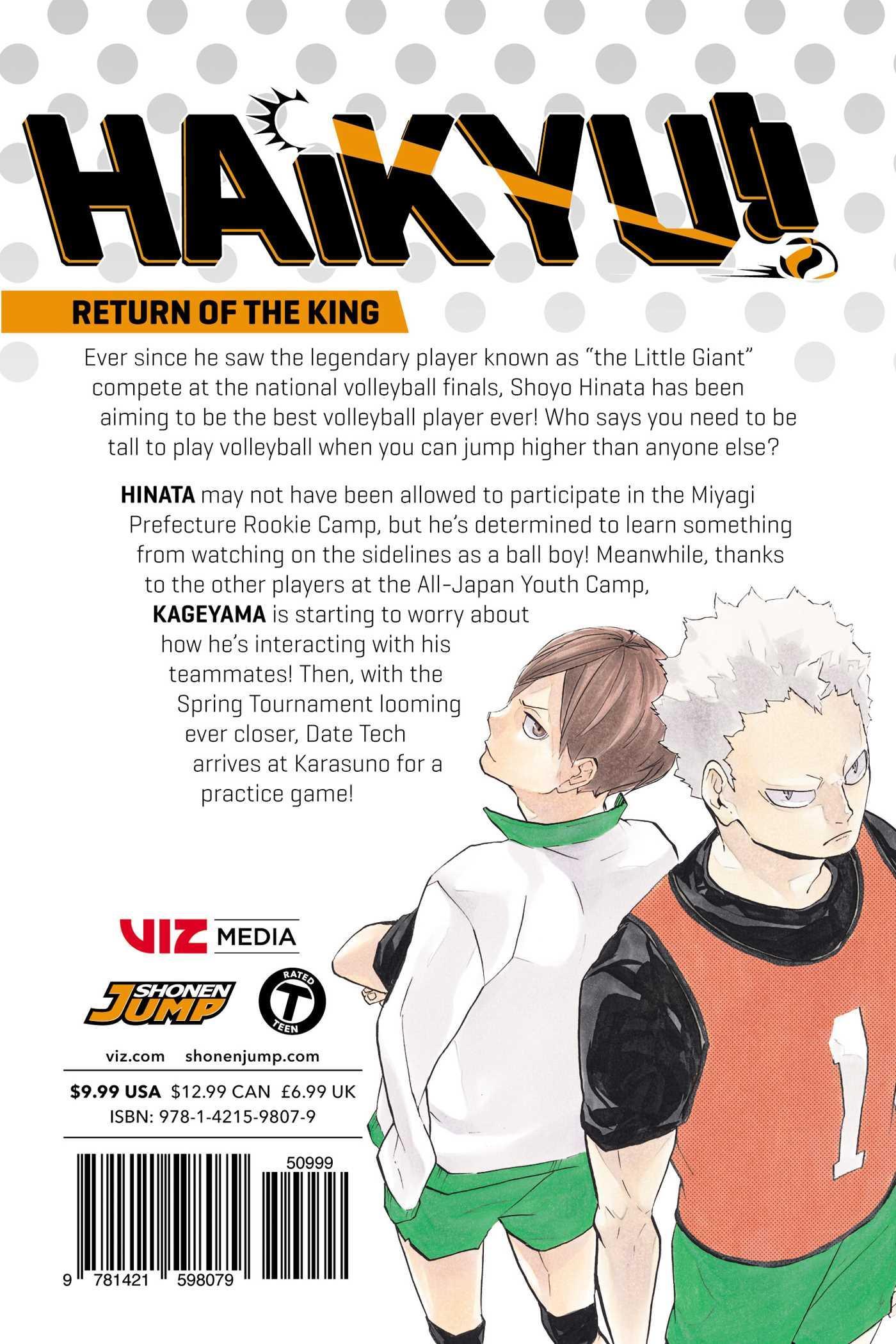 Haikyu!! Vol. 25 - Ultra Rare POP