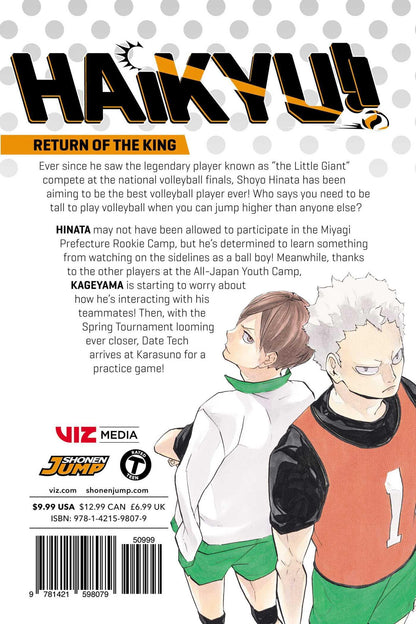 Haikyu!! Vol. 25 - Ultra Rare POP